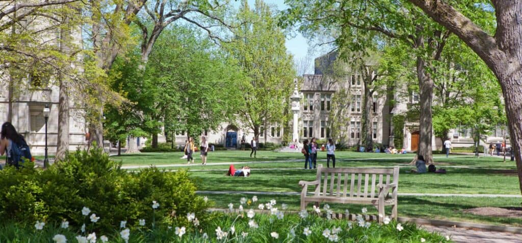 Princeton University Students 1