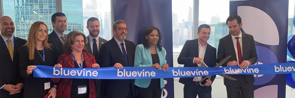 Bluevine website page header