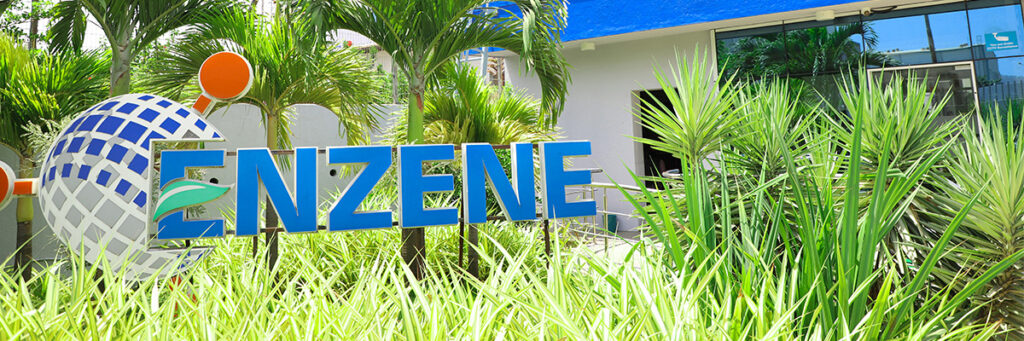 Enzine page header