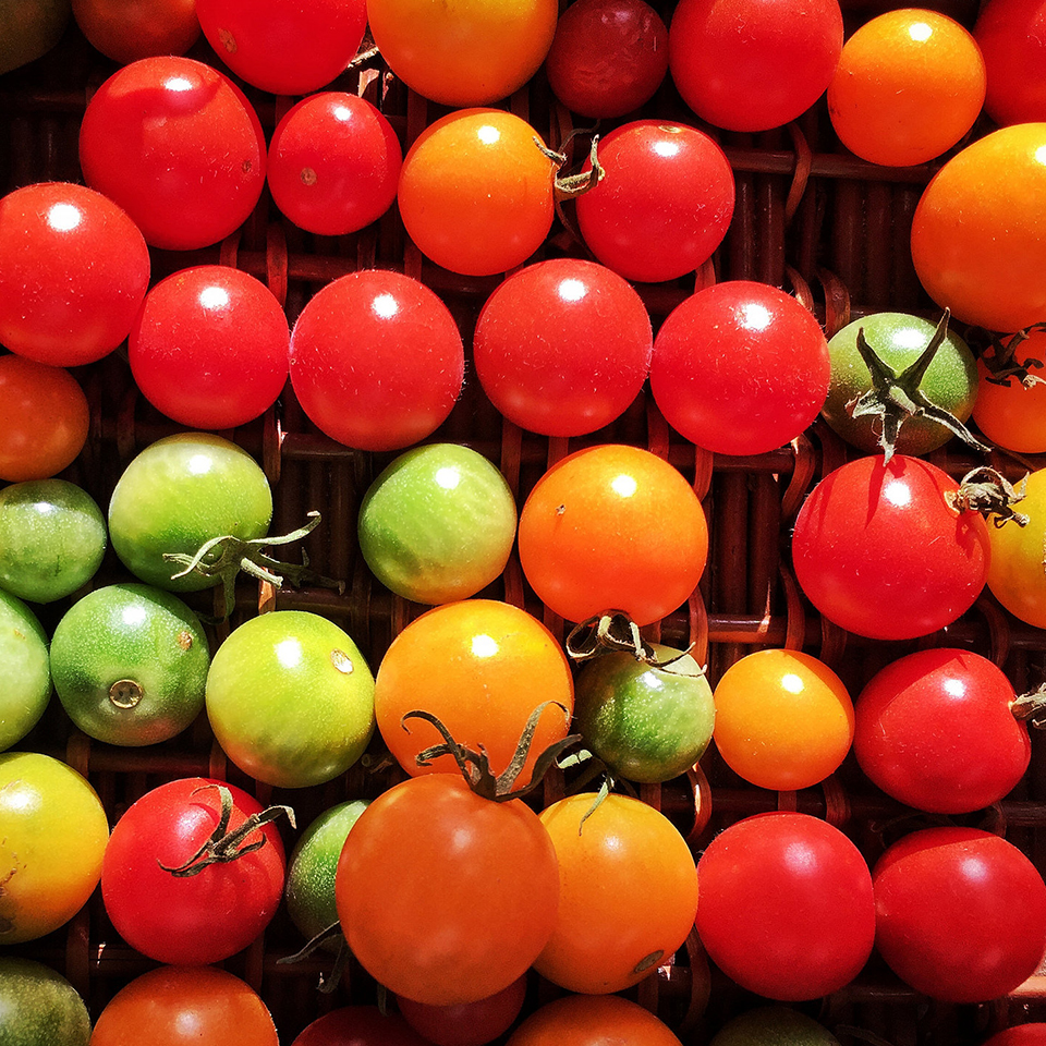 Food and Bev Accordion Agriculture