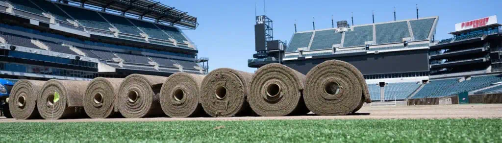 Rutgers Turf